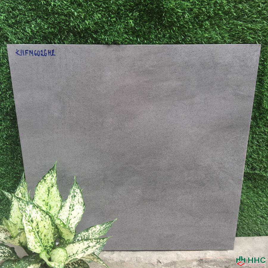 GẠCH LÁT NỀN 60X60  6026